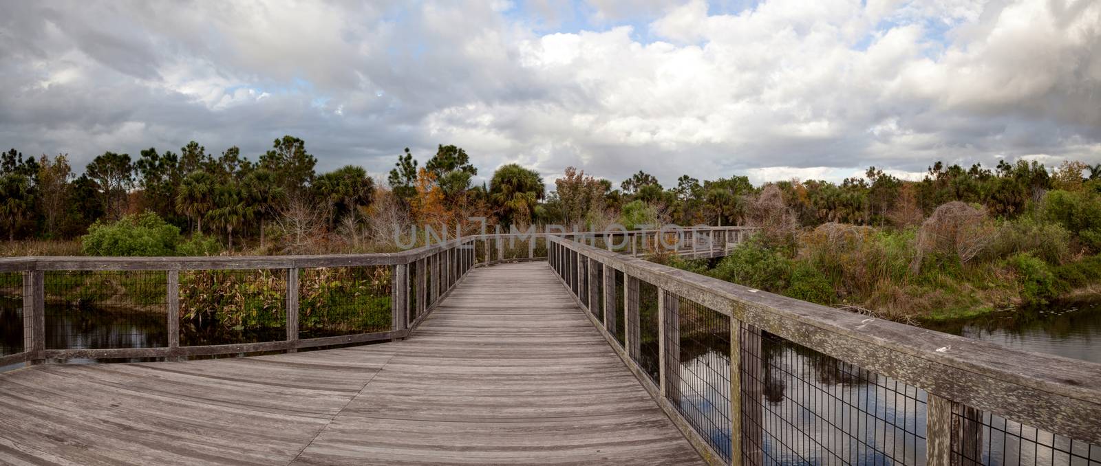 Wooden secluded, tranquil boardwalk along a marsh pond by steffstarr