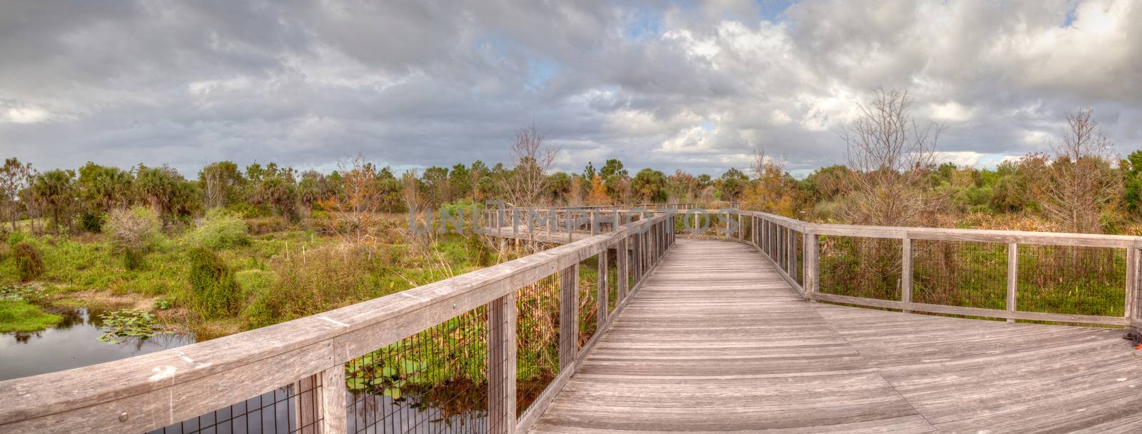 Wooden secluded, tranquil boardwalk along a marsh pond in Freedom Park in Naples, Florida