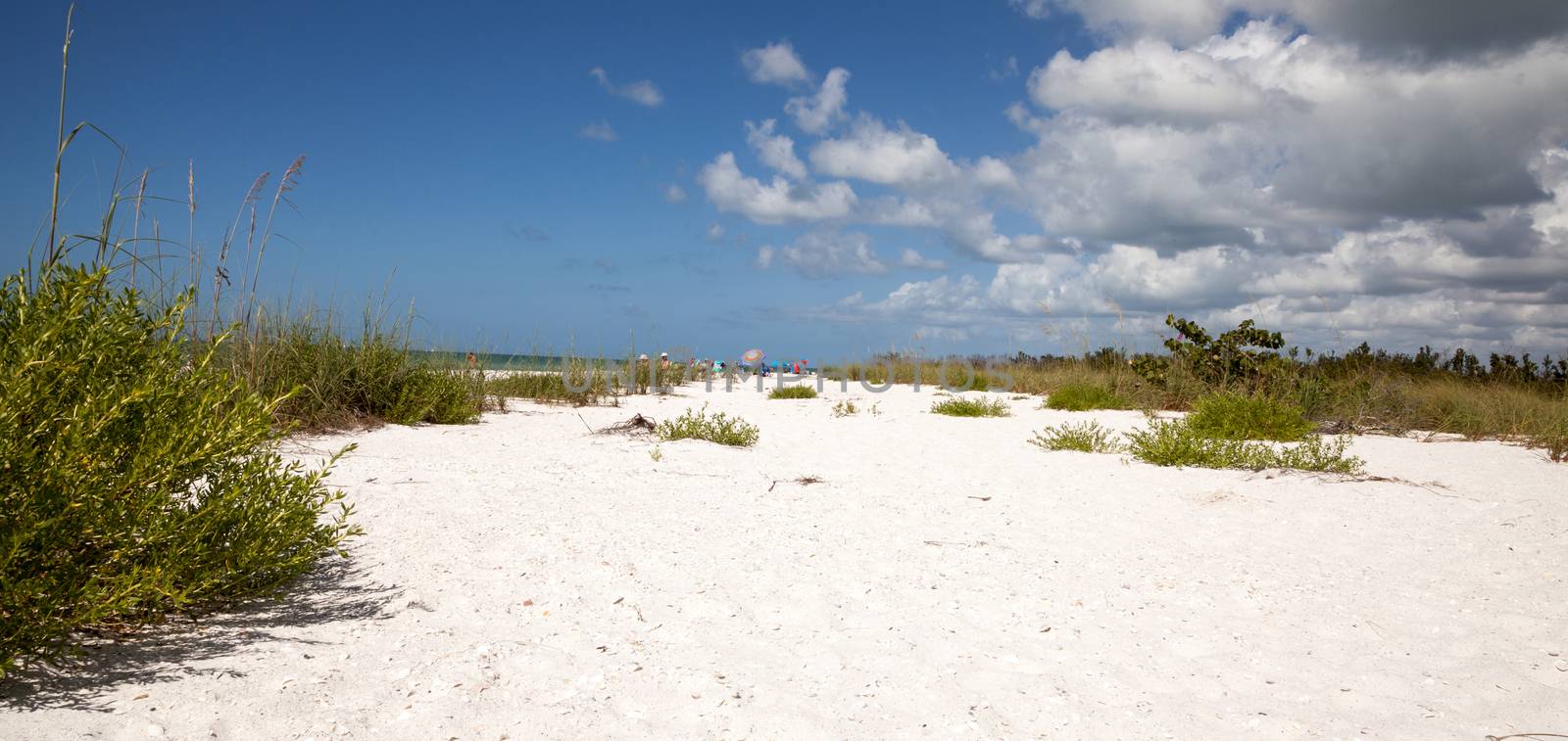 Blue sky over white sand and green beach grass of Tigertail Beach on Marco Island, Florida