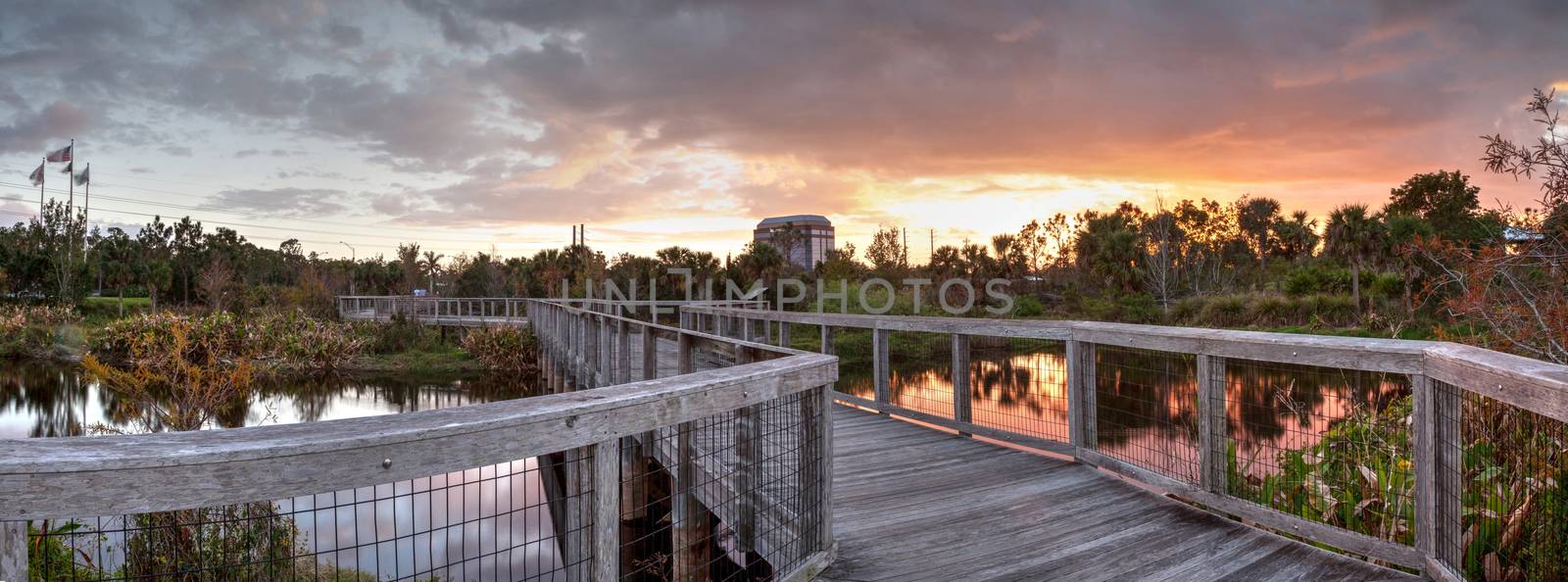 Bridge boardwalk made of wood along a marsh pond by steffstarr