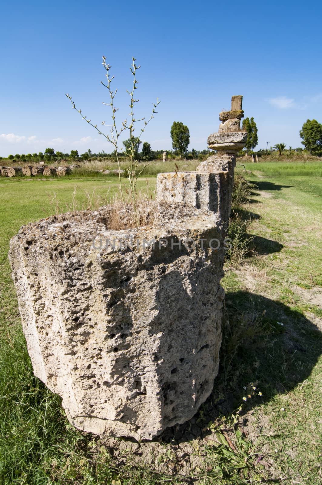 Metaponto archaeological area cities of Magna Greece Basilicata Italy