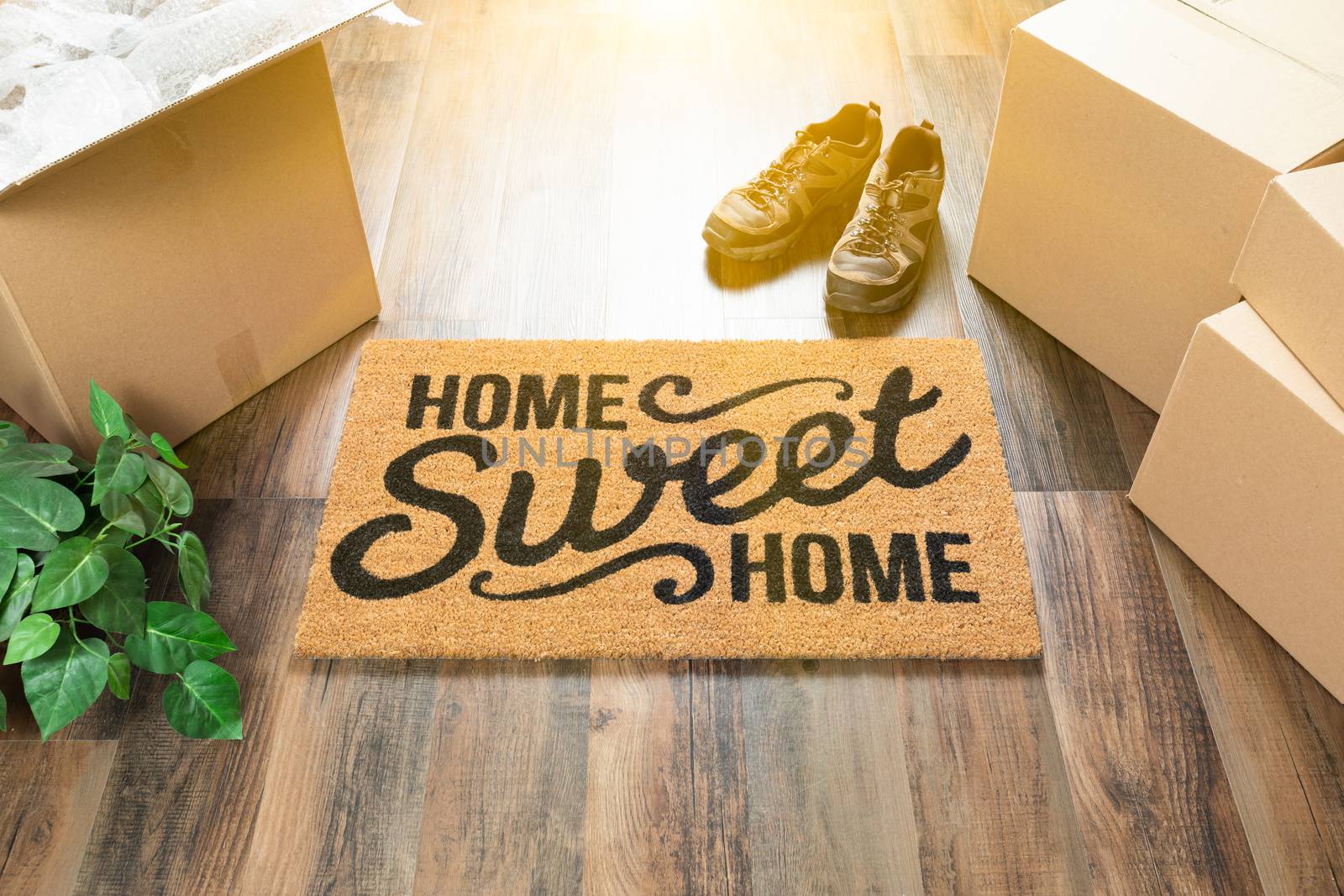 Home Sweet Home Welcome Mat, Moving Boxes, Shoes and Plant on Ha by Feverpitched