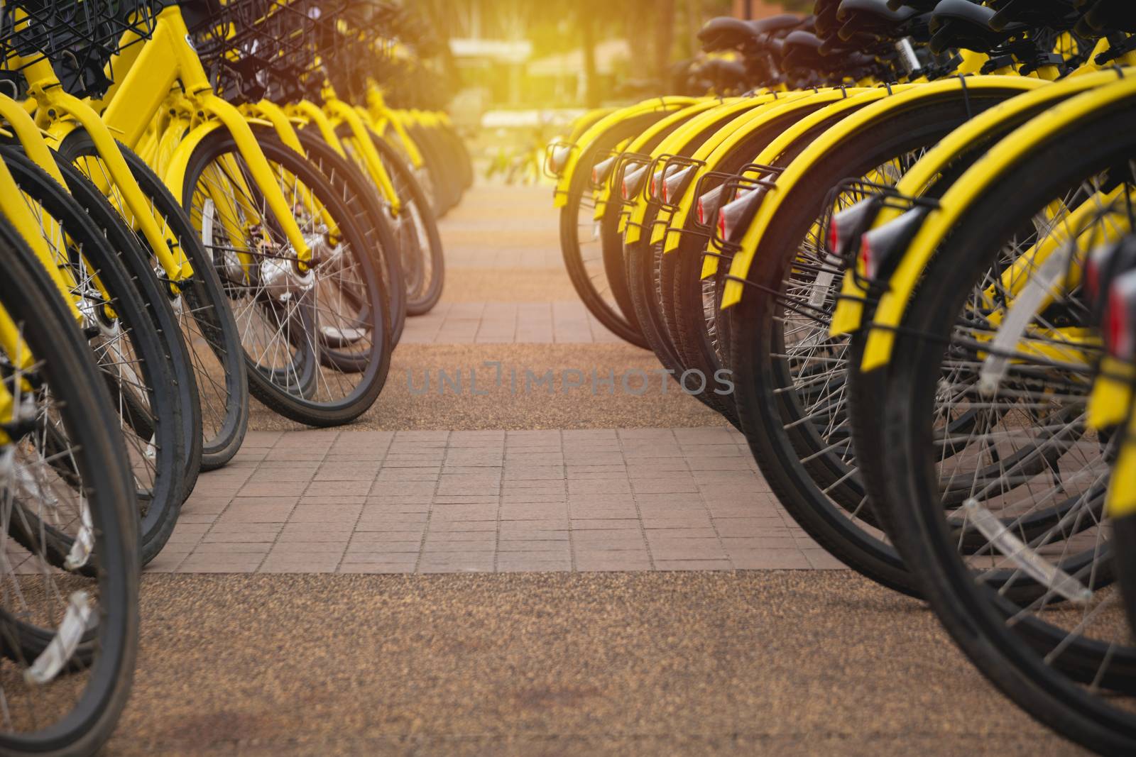 Rental bikes in urban. Shared bicycle public bicycle.