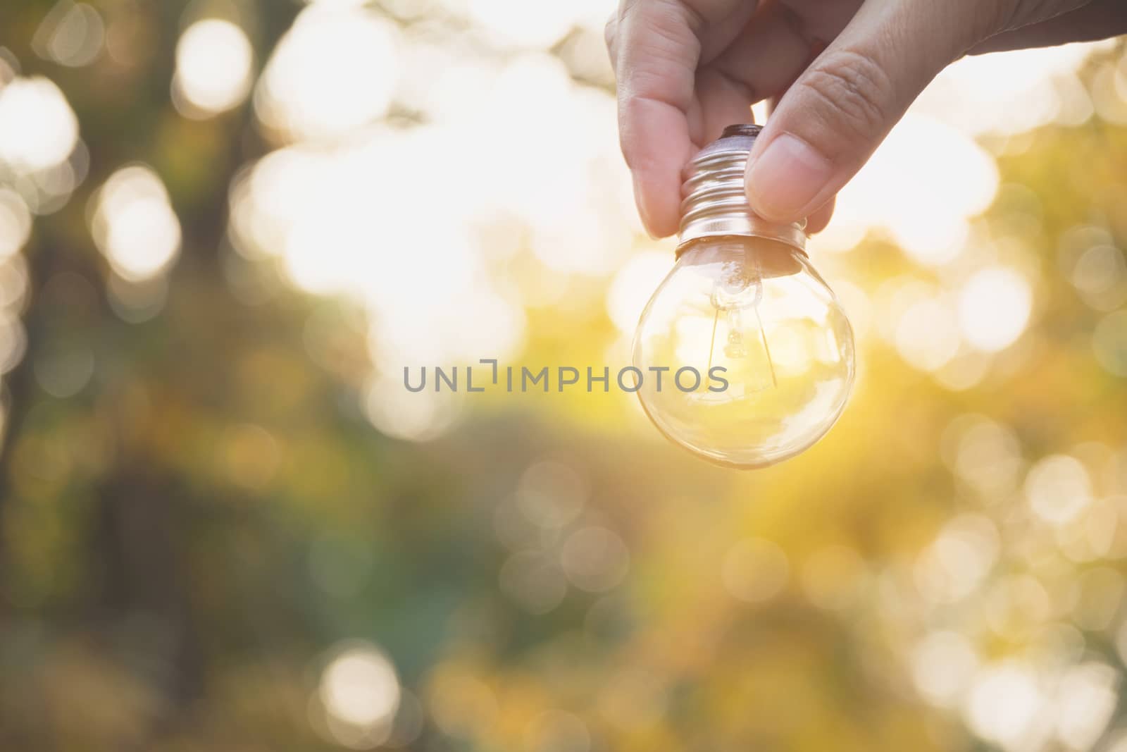 Hand of person holding light bulb for idea or success or solar energy concept.