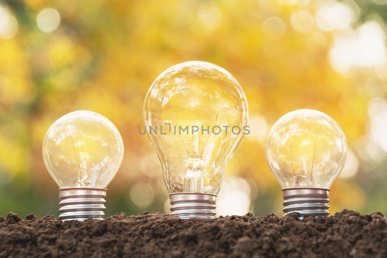 Light bulbs with glowing. Idea, creativity and solar energy concept with light bulbs.