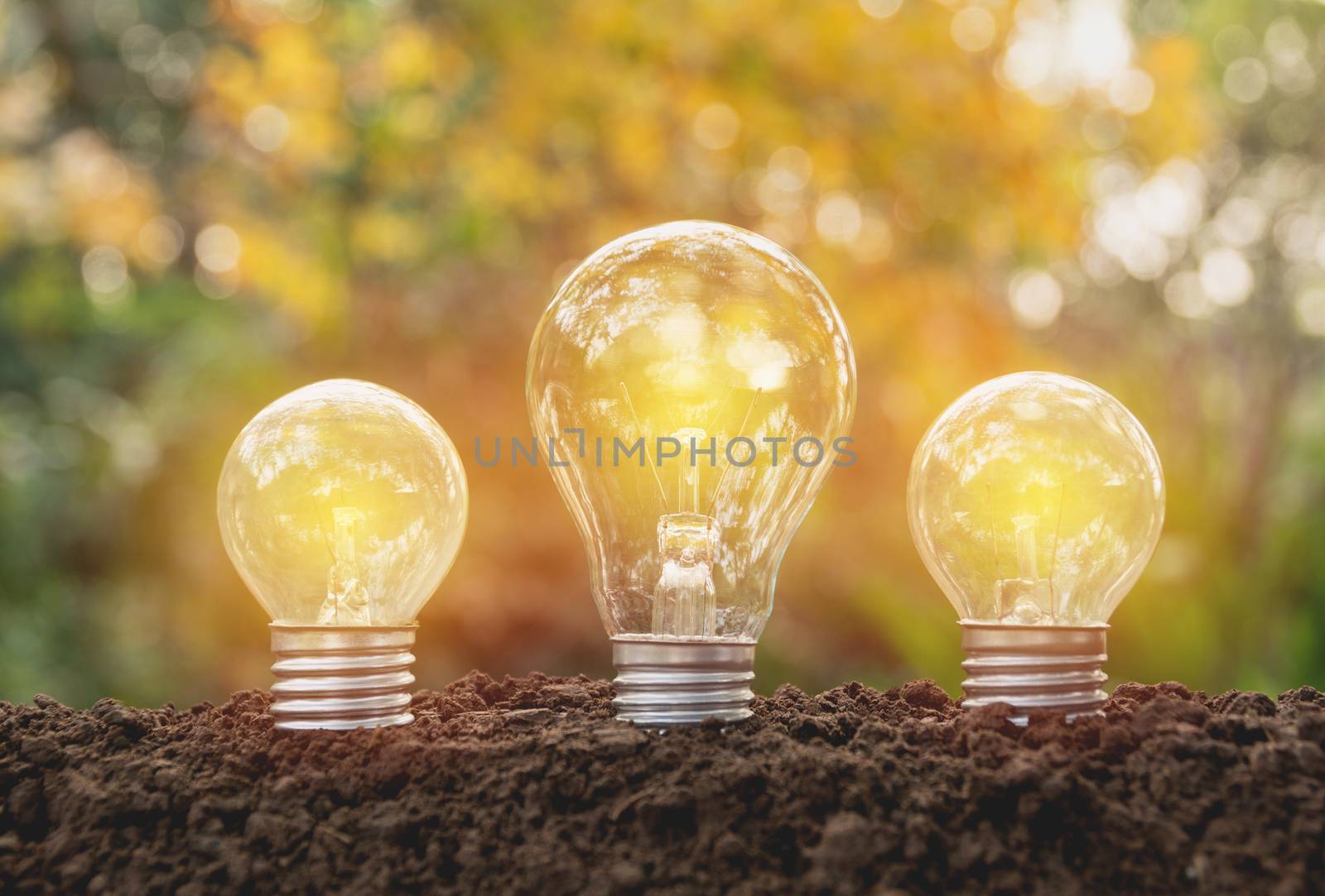 Light bulbs with glowing. Idea, creativity and solar energy concept with light bulbs.