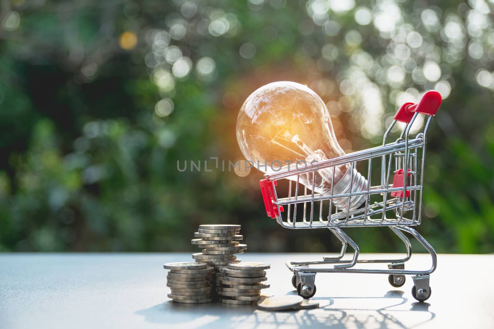 Energy saving light bulb and tree growing on stacks of coins on nature background. Saving, accounting and financial concept.