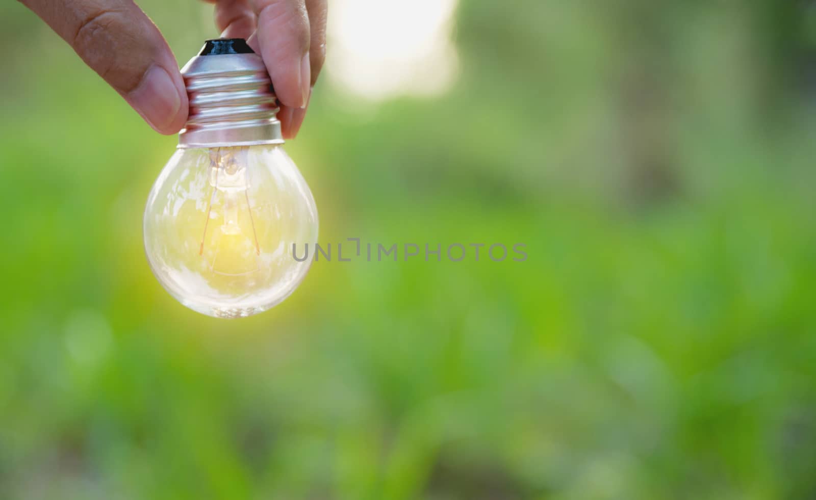 Hand of person holding light bulb for idea or success or solar energy concept.