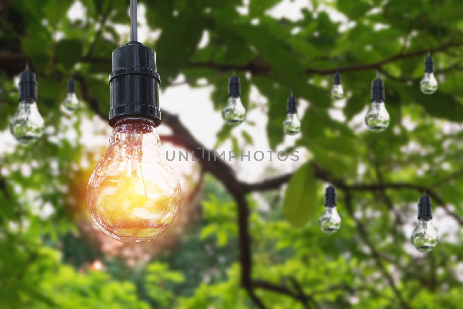 Hanging light bulbs with glowing one on nature background. Idea and creativity concept with light bulbs.