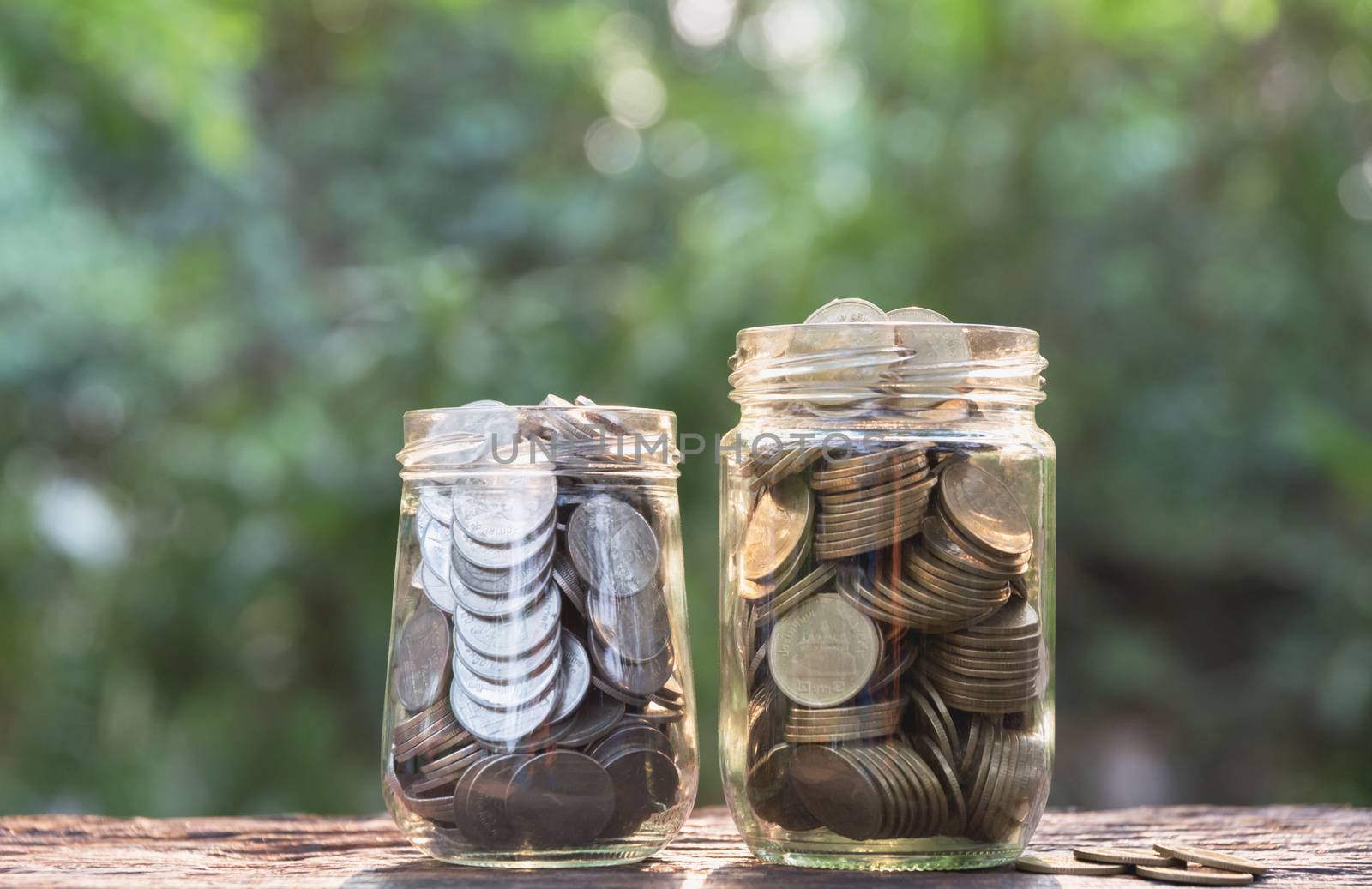Coins in jar on nature background, Concept finance business, saving investment and accounting concept.