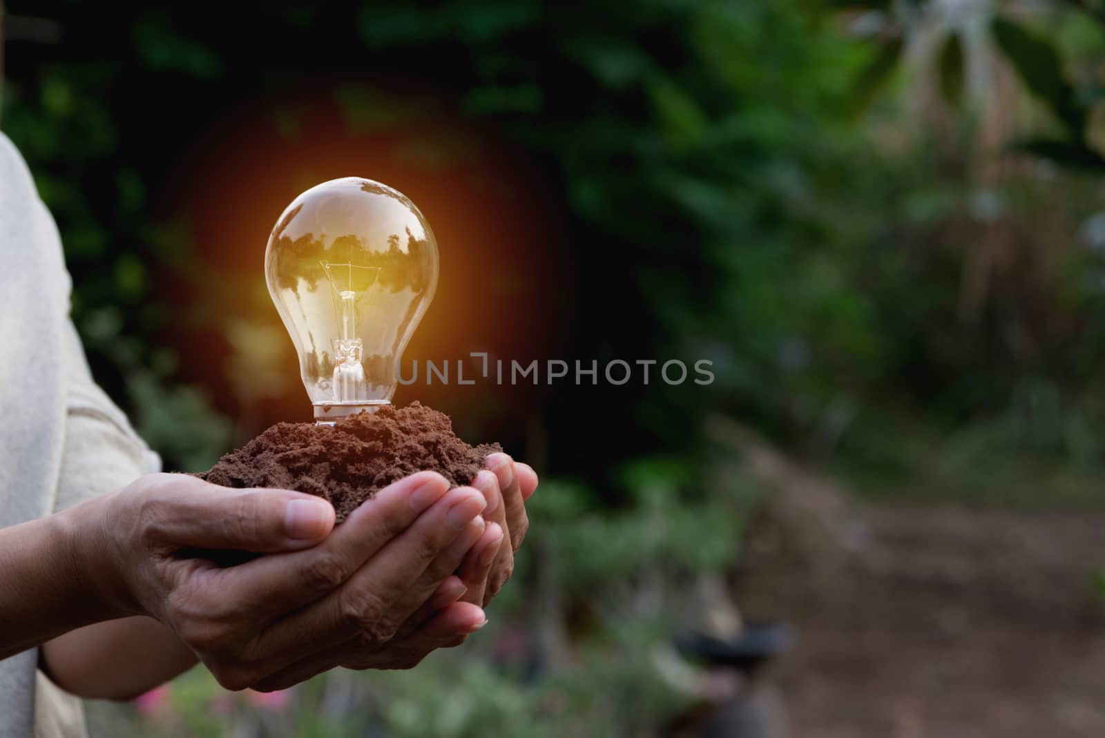 Hand of person holding light bulb for idea or success and solar energy concept.