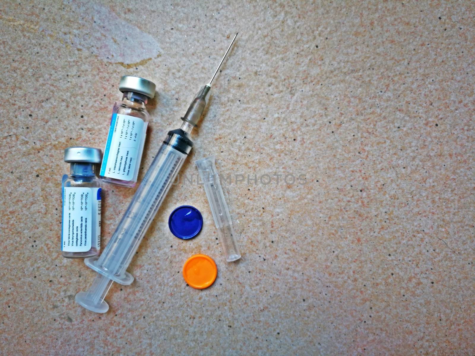 needles and vaccine for protect my dogs from  rabies, hydrophobi by shatchaya
