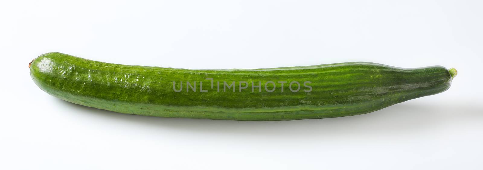 single long cucumber on white background - close up