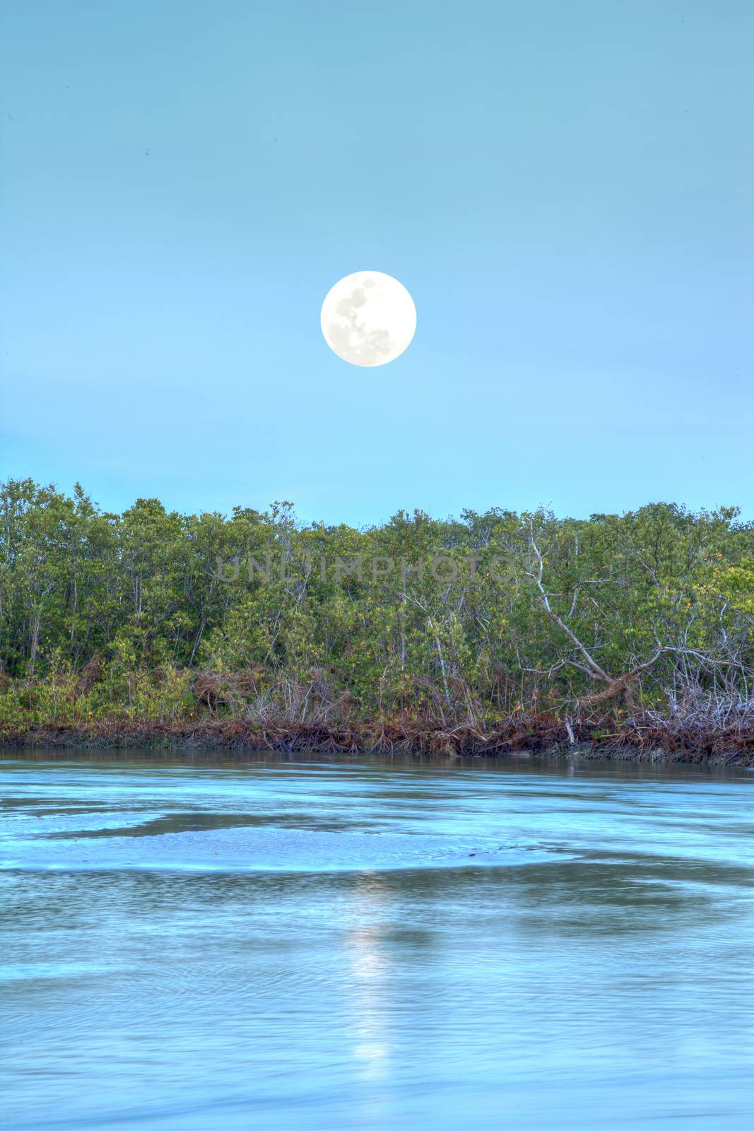 Moonrise over River leading to the ocean at Clam Pass at dusk in Naples, Florida