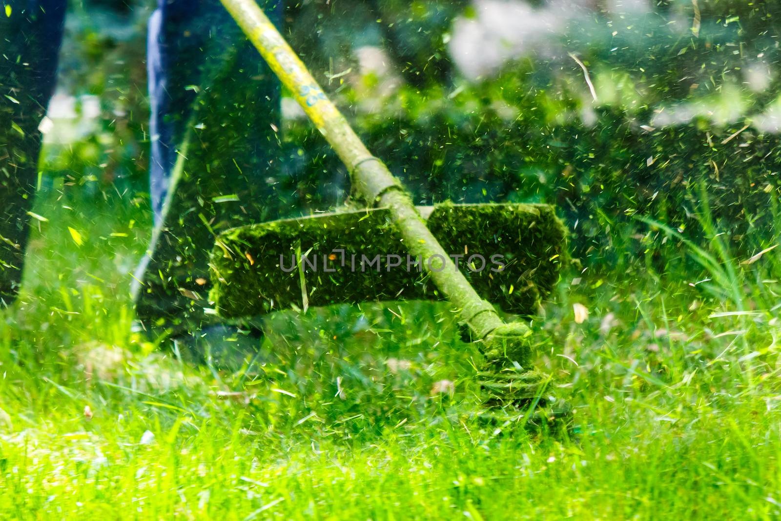 grass cutting in the garden by Pellinni