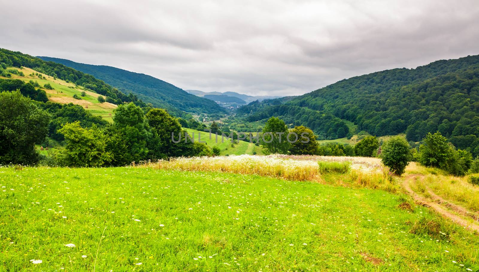 rural field on hillside in mountains by Pellinni