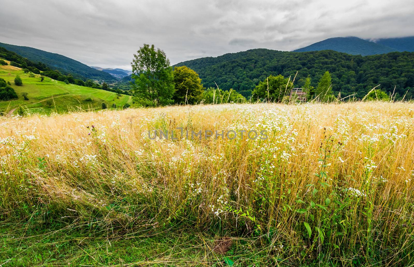 rural field on hillside in mountains by Pellinni