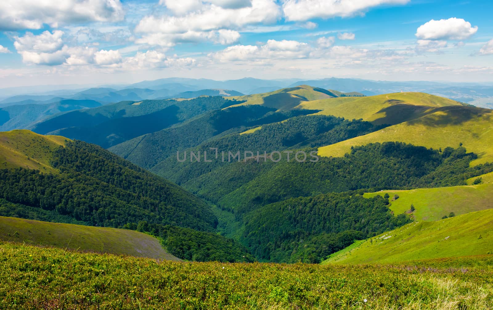 rolling hill of Carpathian mountains by Pellinni