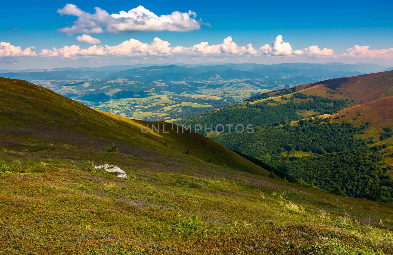 colorful grass on mountain hillside. lovely landscape in late summer