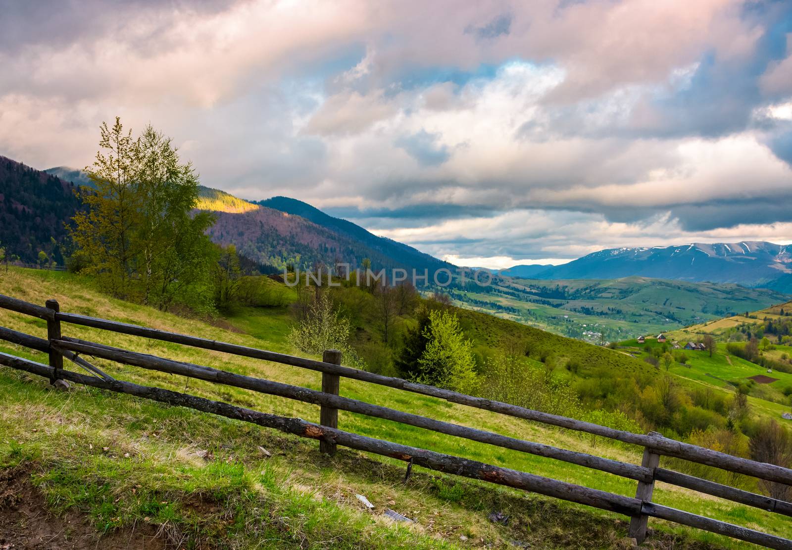 wooden fence across the hill by Pellinni