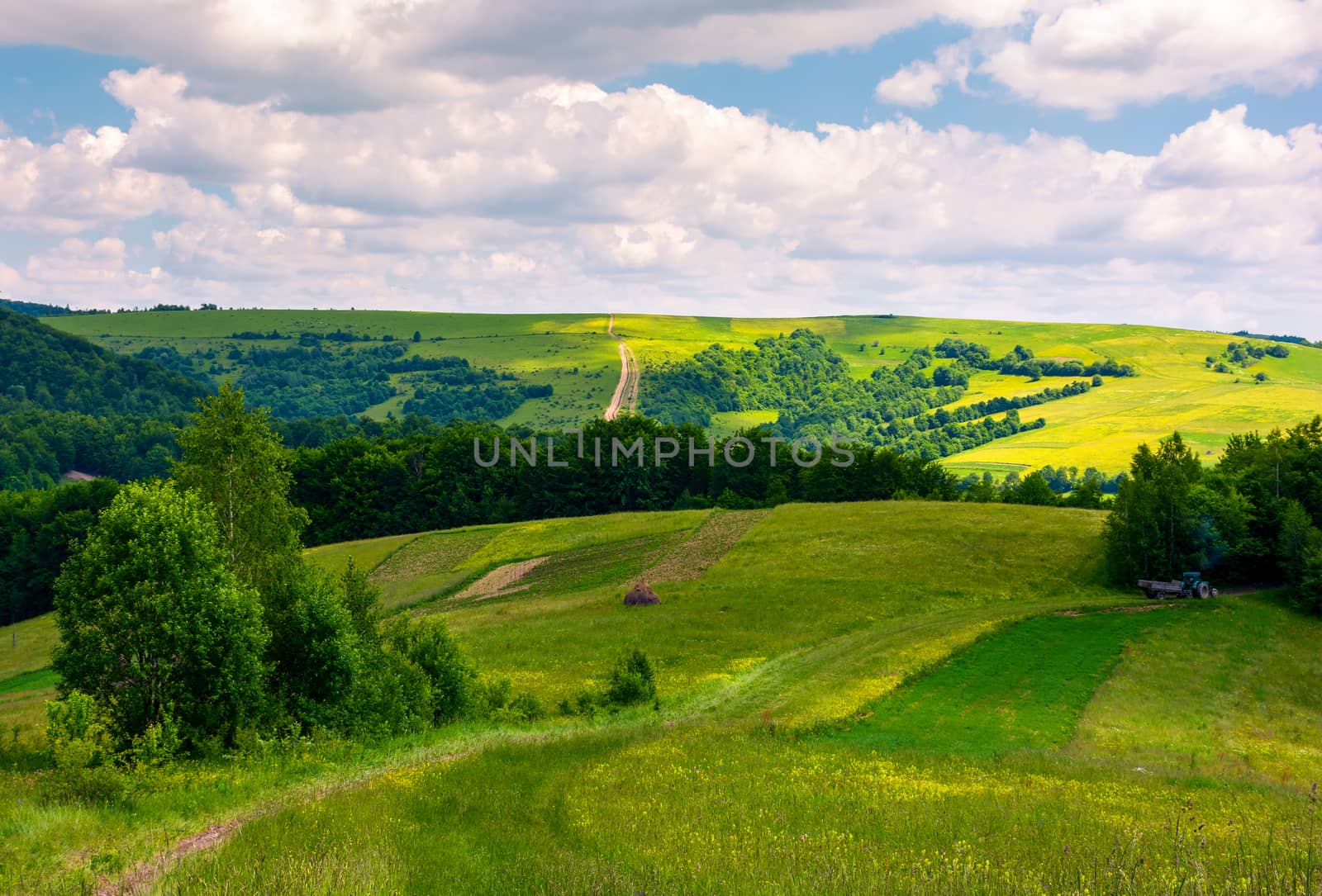 agricultural fields on hills by Pellinni