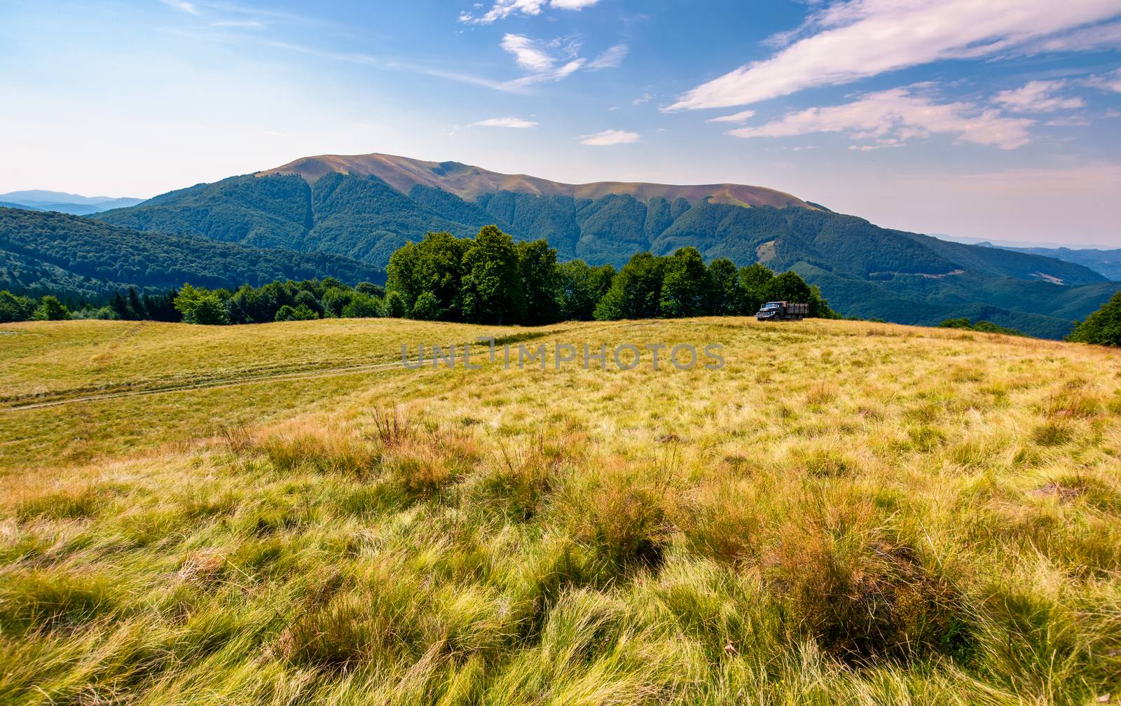large grassy meadow of Carpathians by Pellinni