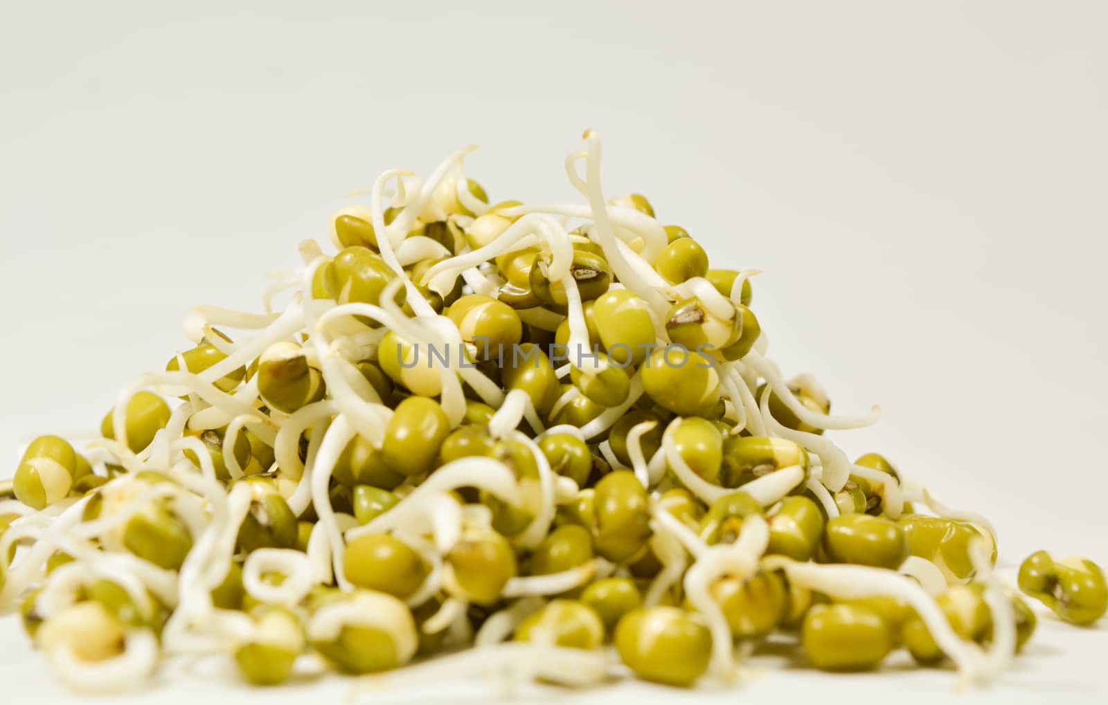 sprouted green gram on isolated white background by lakshmiprasad.maski@gmai.com