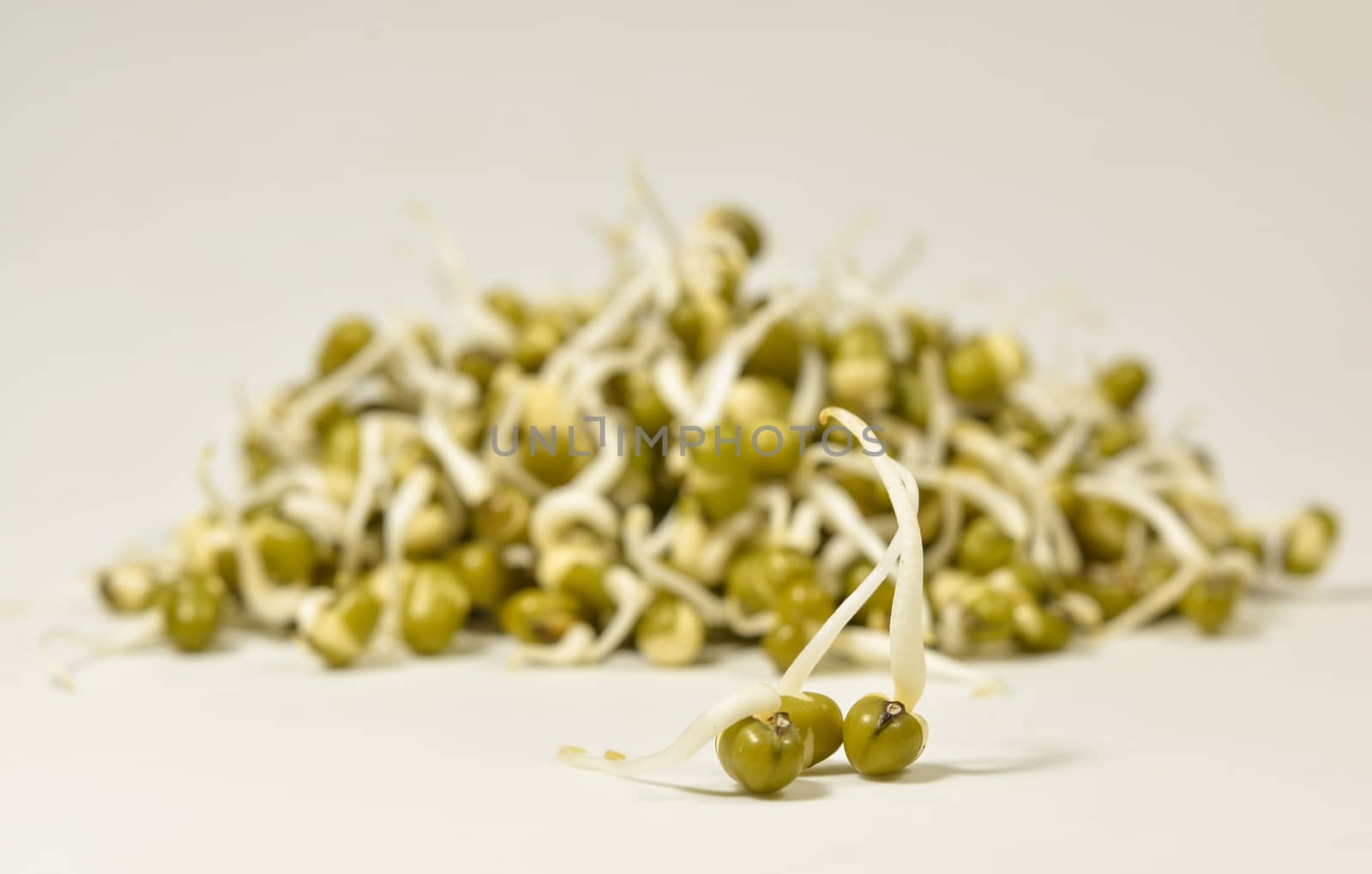 sprouted green gram and three kept different from group on isolated white background by lakshmiprasad.maski@gmai.com