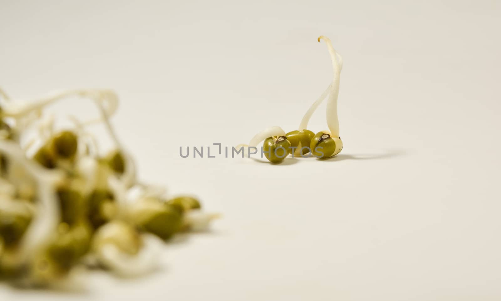 sprouted green gram and three kept different from group on isolated white background by lakshmiprasad.maski@gmai.com