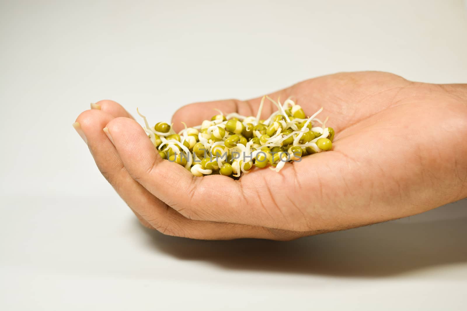 sprouted green gram hand on isolated white background.