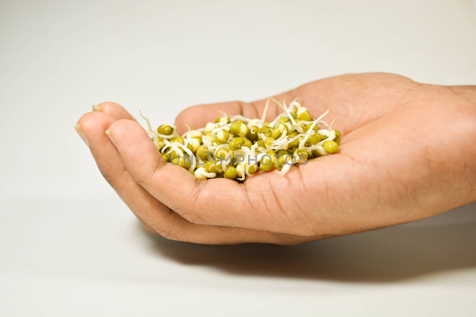 sprouted green gram in hand on isolated white background by lakshmiprasad.maski@gmai.com