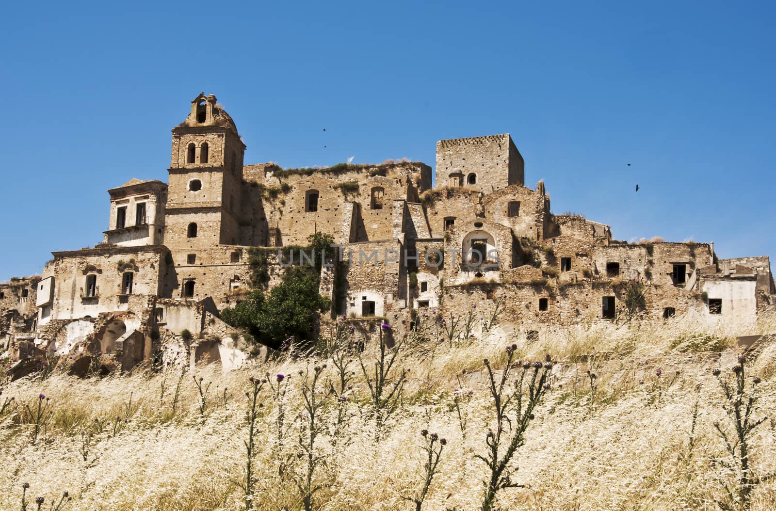 The lost village of Craco by edella