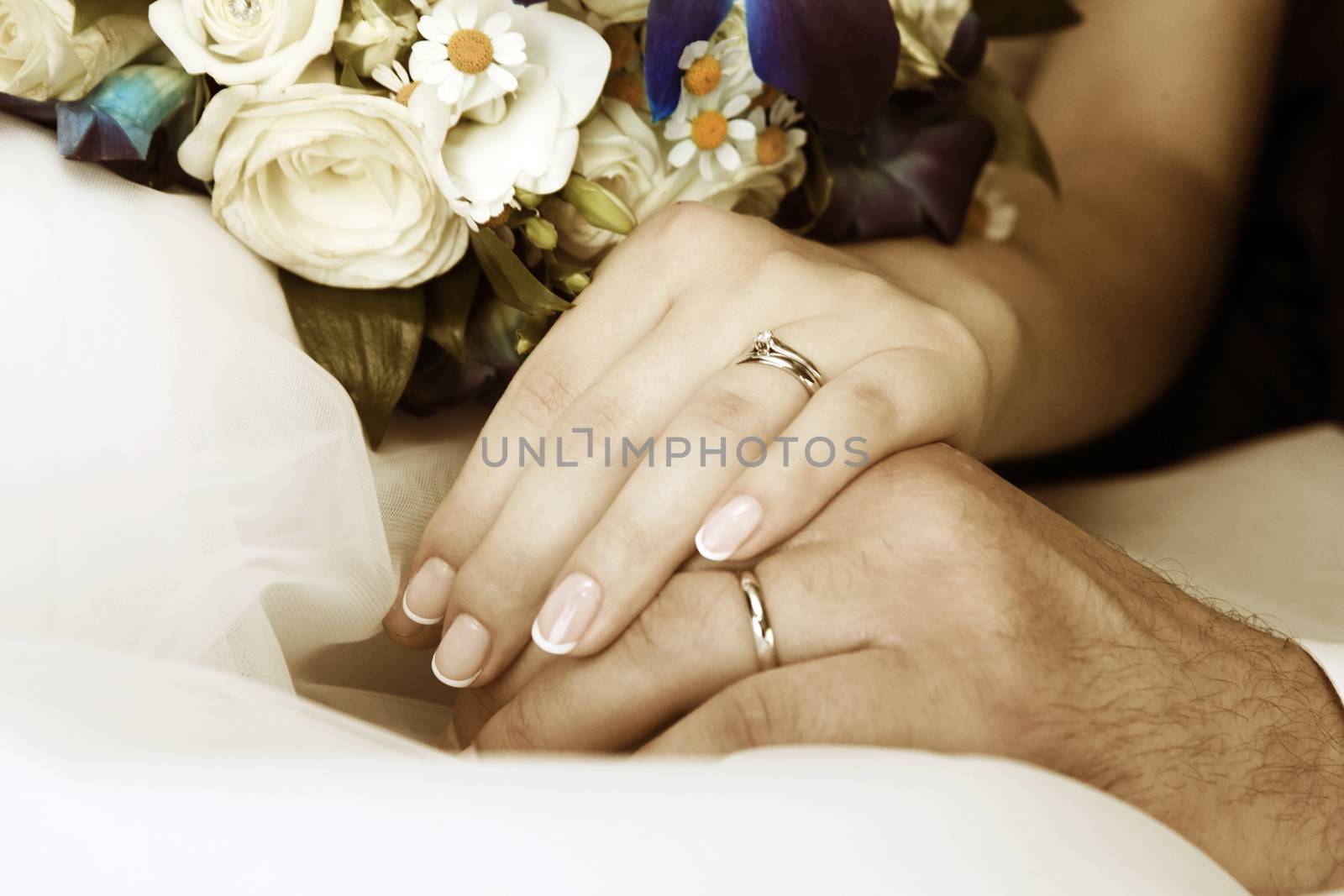 Hand of the groom and the bride with wedding rings