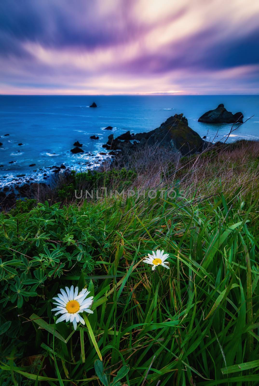 Seascape Sunset in Northern California by backyard_photography