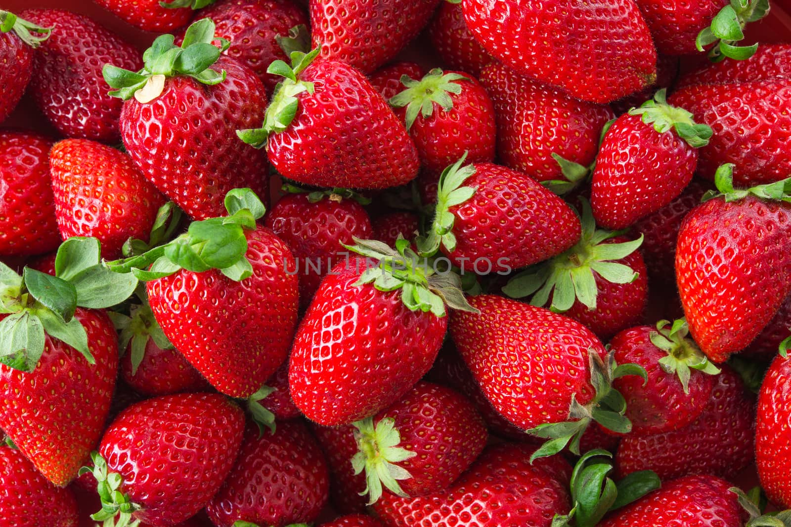 group of Fresh organic strawberries fruit