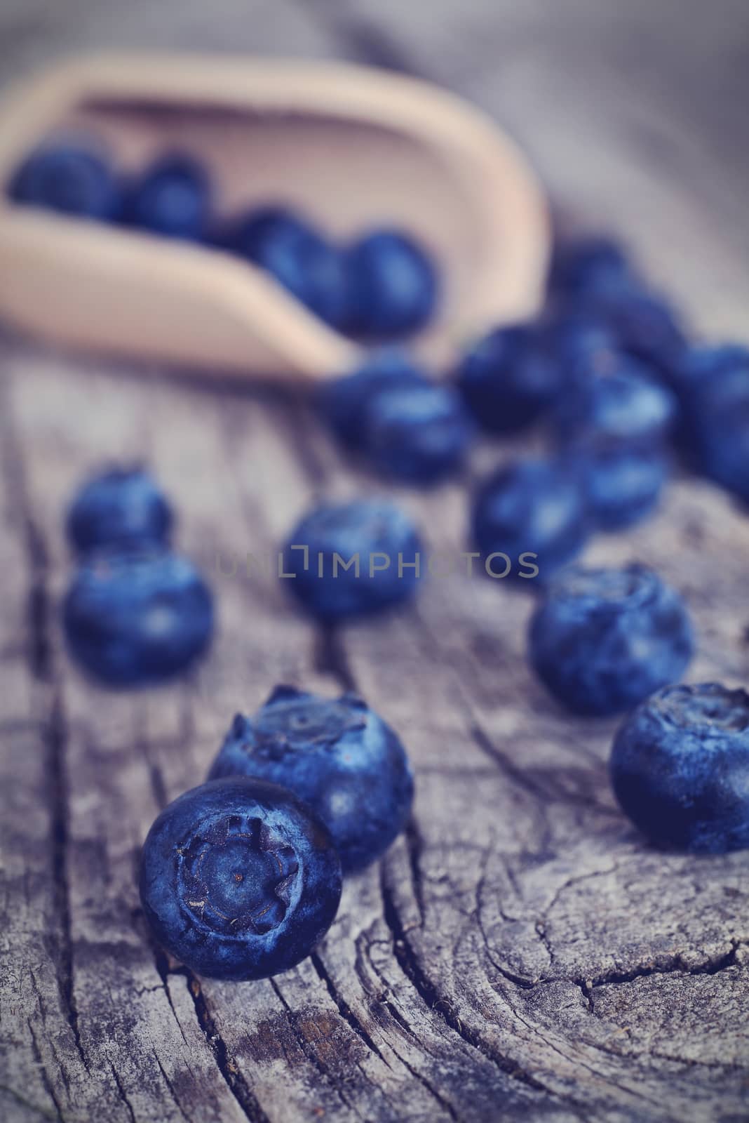 Organic blueberries on a rustic wooden table.