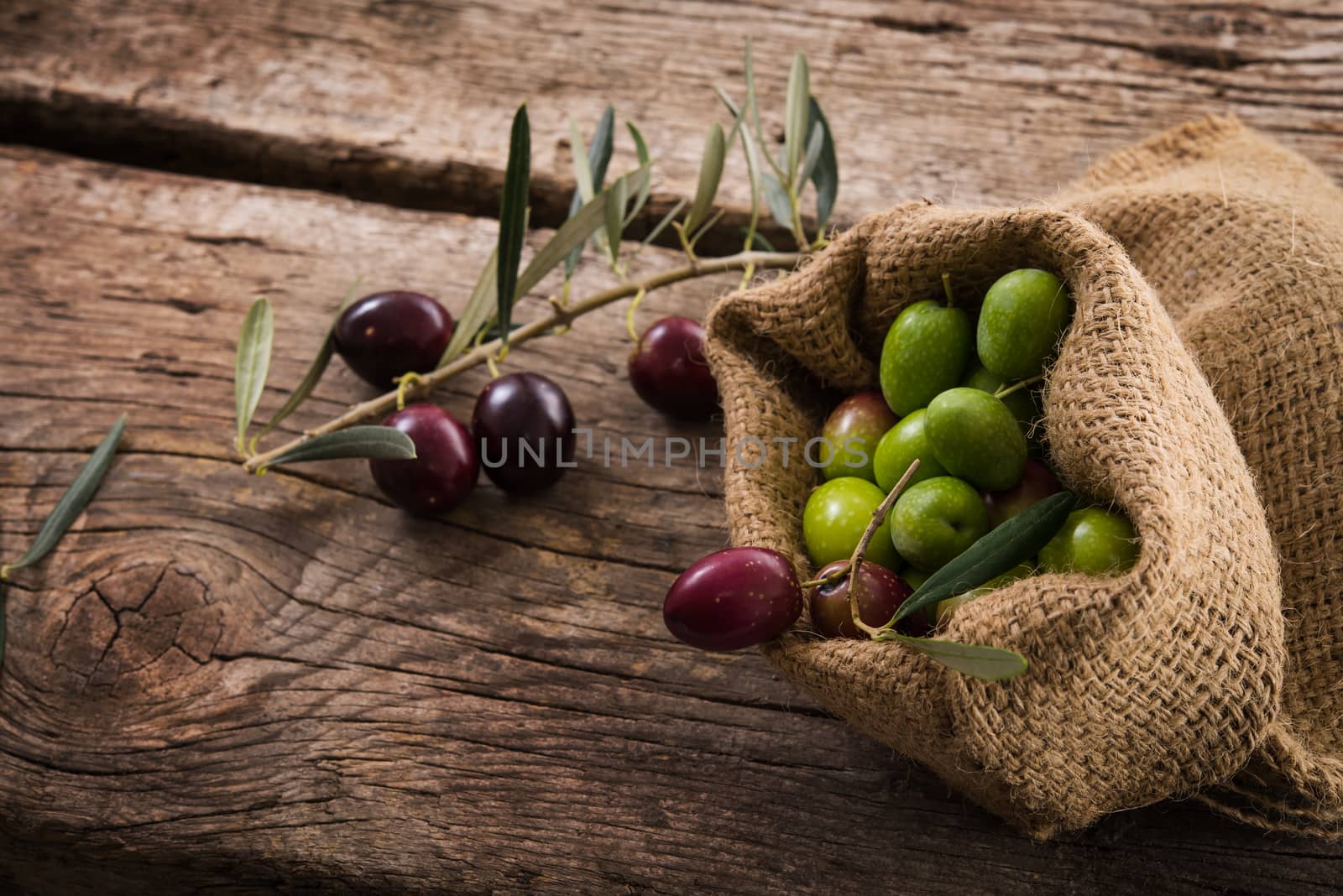 fresh olives in a jute bag, placed on a rustic wooden table. Olives from Sicily, Italy