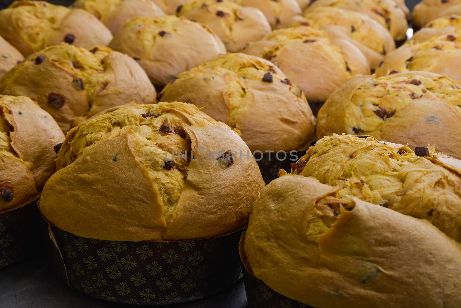 Traditional panettones with raisins and candied fruit. Italian pastry