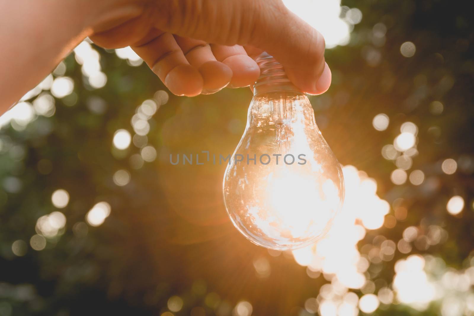 Hand holding light bulbs with glowing on ground. Idea, creativity and saving energy with light bulbs concept.