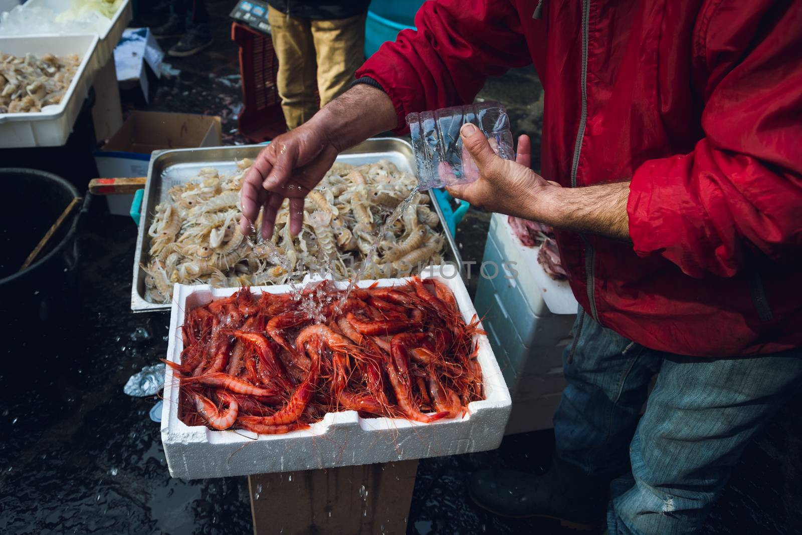 fresh raw seafoods on counter in Catania fish market, Italy