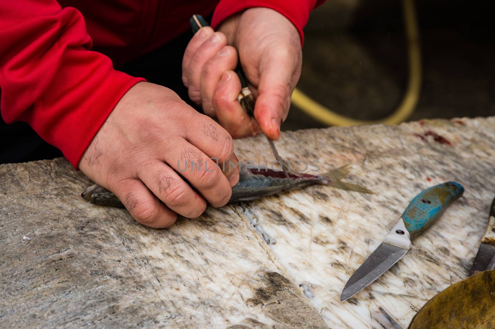 Fishmonger cutting a small fish on a cutting board, Catania fish market, Italy