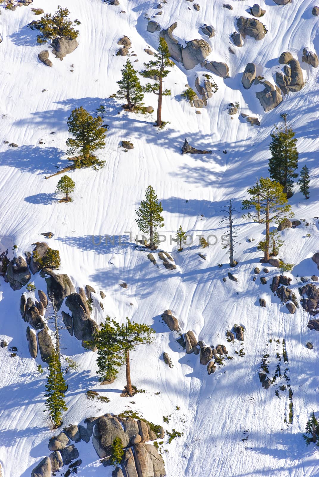 One of the slopes at Squaw Valley, California, for those who like extreme skiing between rocks and trees.