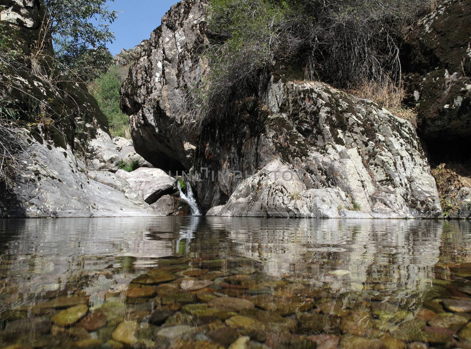   The transparent lake with reeves in mountains       