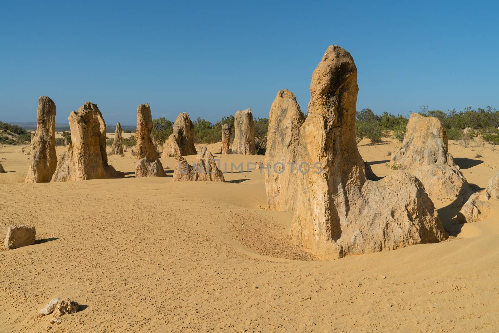 Pinnacles Desert, Nambung National Park, Western Australia