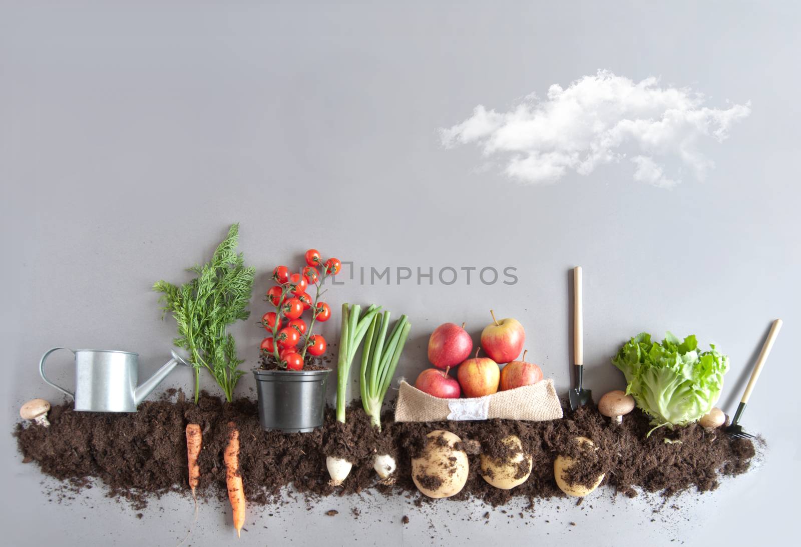 Fruits and vegetables growing in compost including carrots, mushrooms, potatoes and lettuce