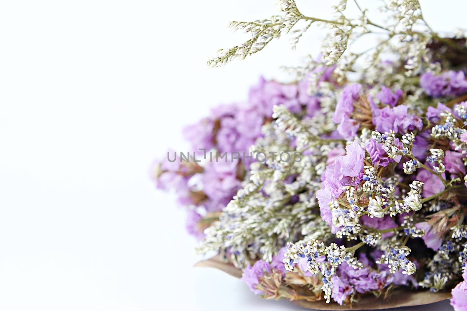 Bouquet of dried wild flowers on white background with copy space by sureeporn
