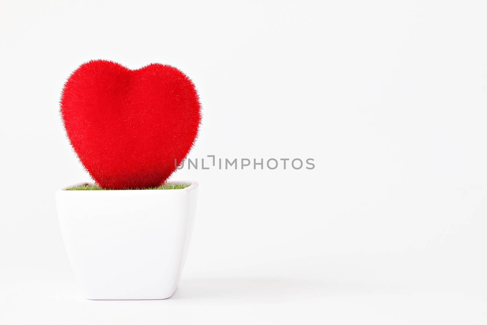 World heart day, Valentines day, health care or love concept : Heart shape tree on white background with copy space