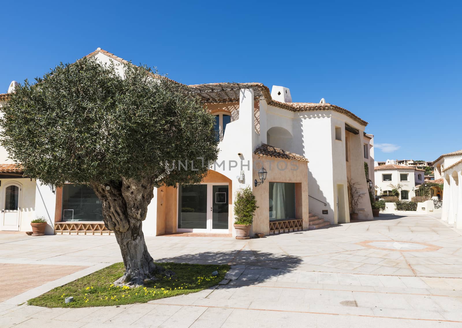 typical italian architecture and big olive tree in the centre of Porto Cervo on the italian island of sardinia, the place where in the summer the rich and famous travel for their exclusive vacation