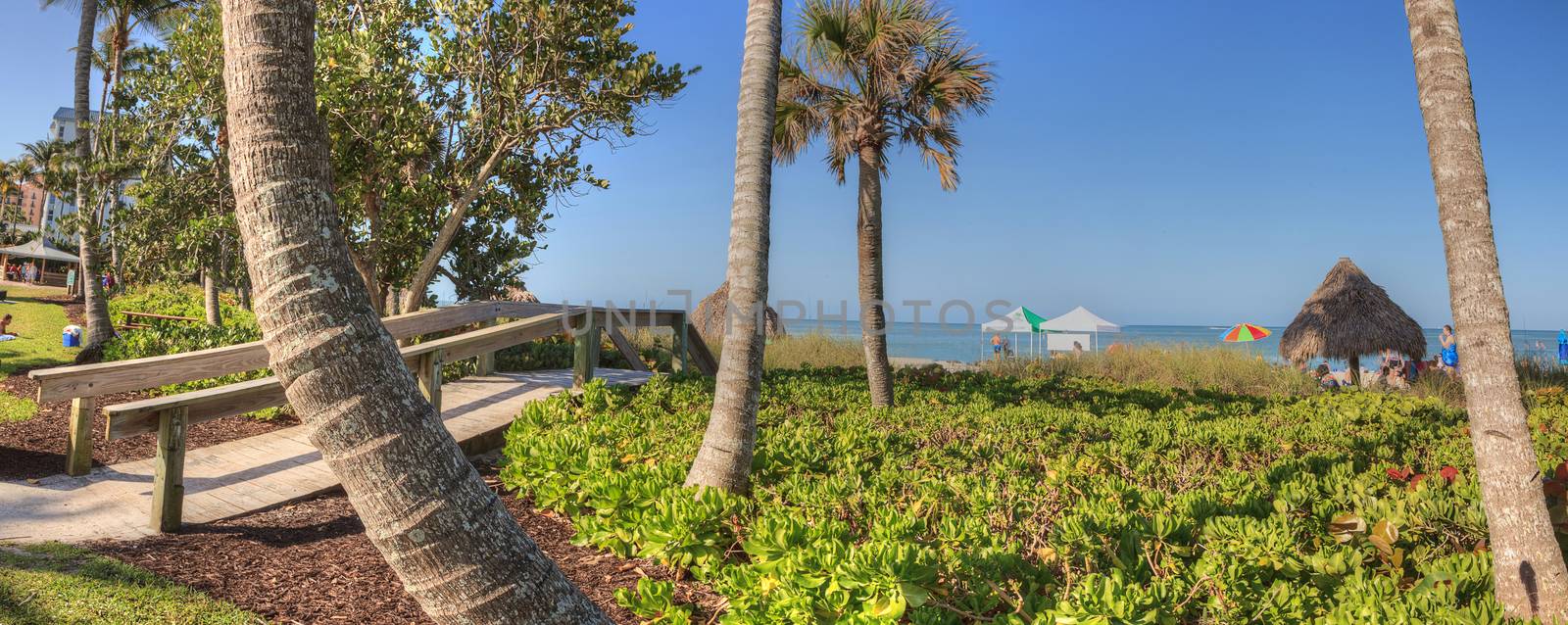 Clear blue sky over Lowdermilk Park in Naples, Florida