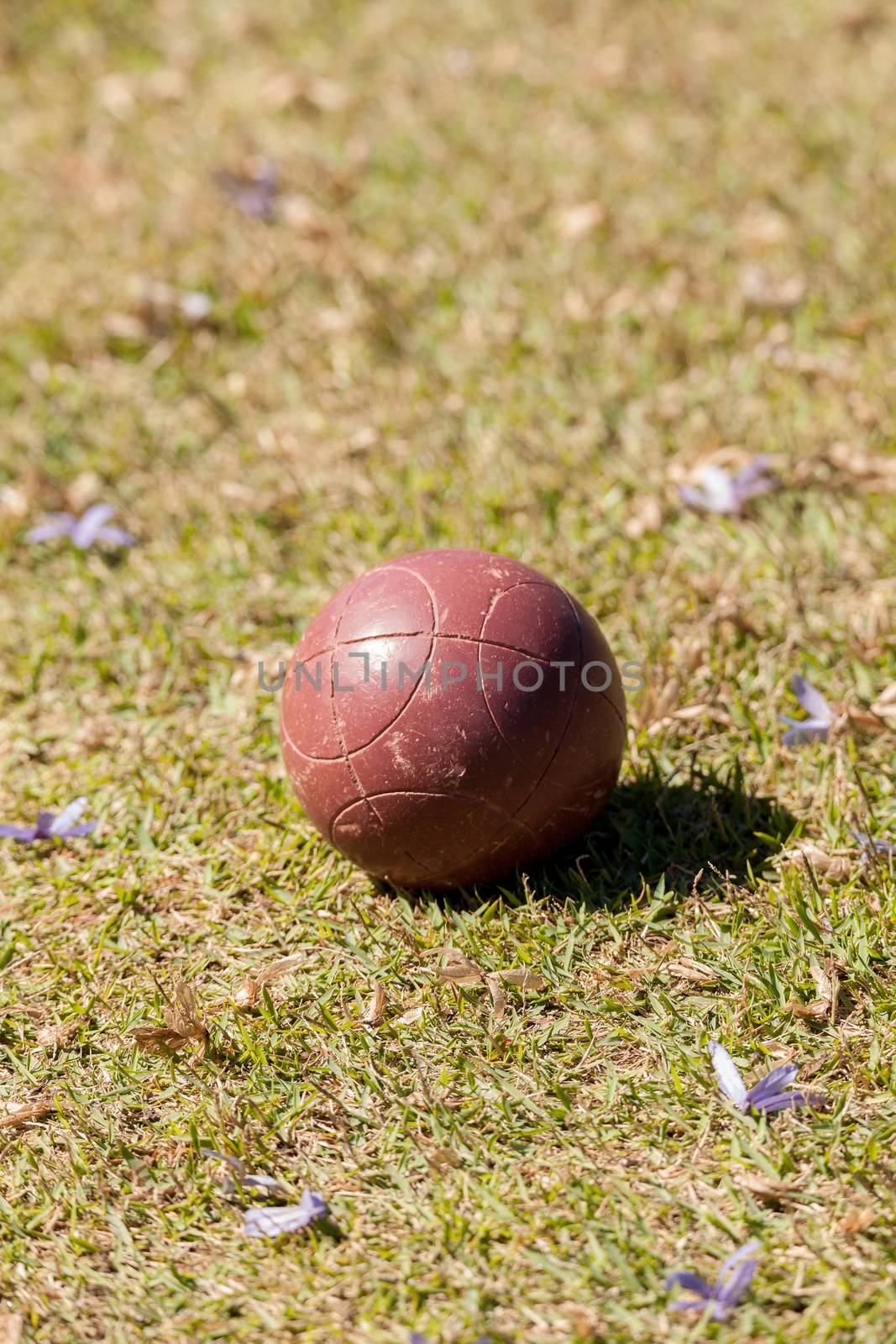 Bocce ball on the green grass of an open field ready for sport in Naples, Florida